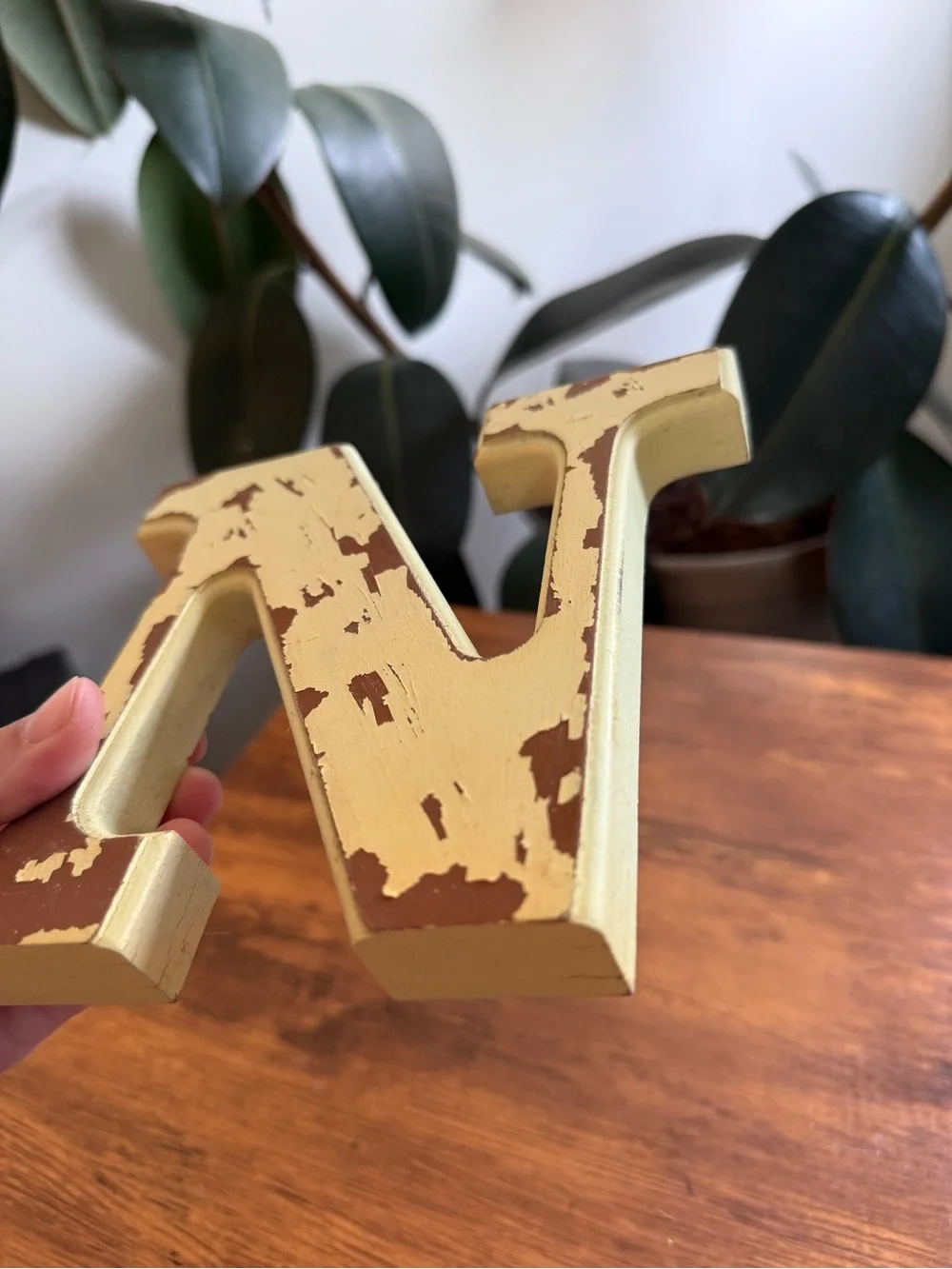 Distressed Letter N Wall Decor in Sage Green